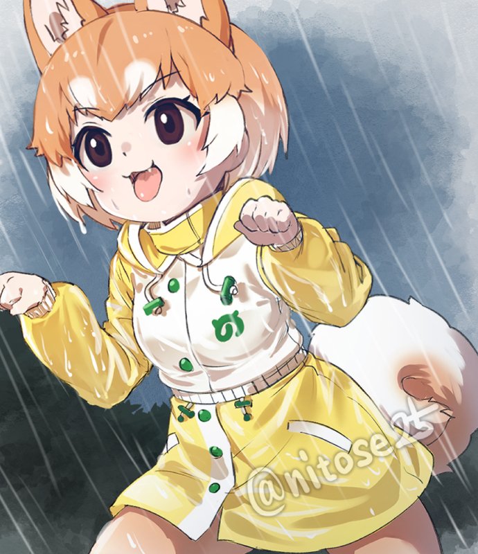 1girl :3 animal_ear_fluff animal_ears brown_eyes dog_(shiba_inu)_(kemono_friends) dog_ears dog_tail drawstring extra_ears fang hood hood_down hooded_jacket jacket japari_symbol kemono_friends looking_away multicolored_hair nyifu open_mouth orange_hair outdoors paw_pose rain short_hair solo tail tongue tongue_out twitter_username two-tone_hair white_hair