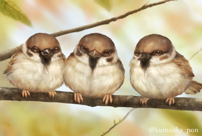 animal animal_focus artist_name beak bird blurry blurry_foreground branch brown_eyes clip_studio_paint_(medium) commentary_request eurasian_tree_sparrow feathers fur kumaoka_pon leaf looking_at_viewer no_humans original sparrow