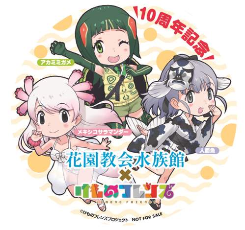 black_eyes green_eyes green_hair grey_eyes grey_hair jinmen-gyo_(kemono_friends) kemono_friends long_hair lowres mexico_salamander_(kemono_friends) official_art pink_hair red-eared_slider_(kemono_friends) yoshizaki_mine