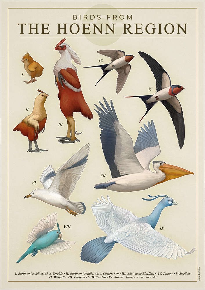 altaria animal_focus biology bird blaziken border combusken english_text gen_3_pokemon information_sheet julio_lacerda label nintendo no_humans pelipper poke_ball_symbol pokemon pokemon_(creature) realified realistic standing swablu swellow taillow torchic wingull