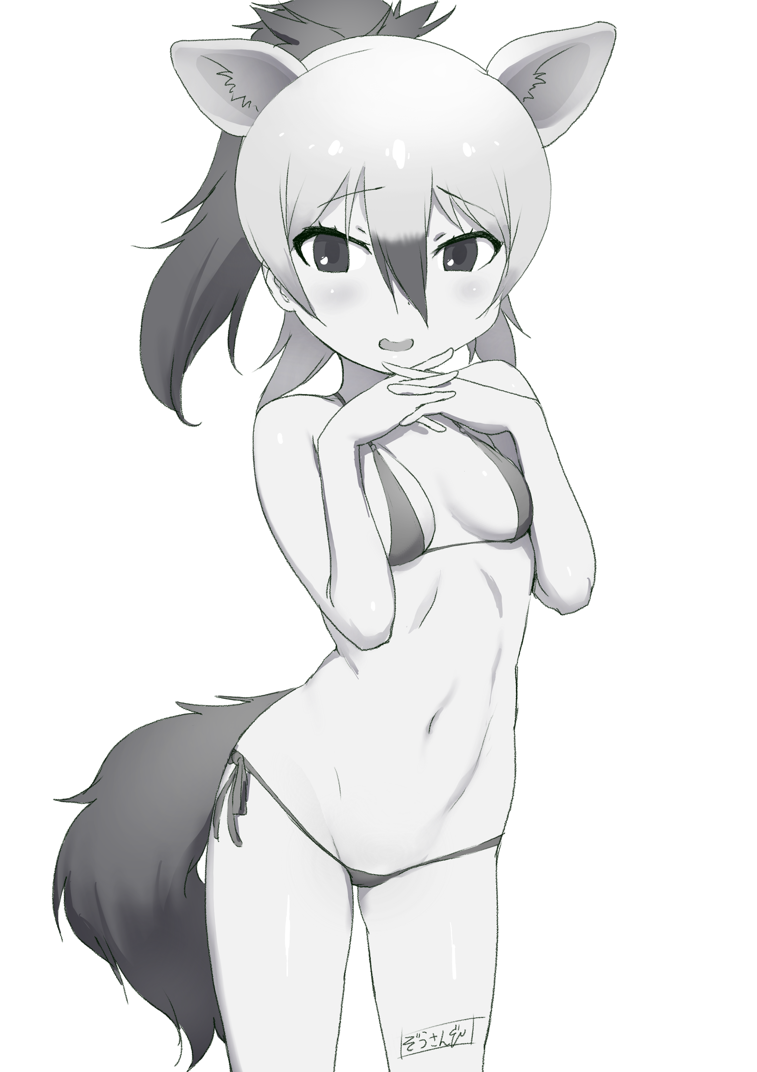 1girl aardwolf_(kemono_friends) absurdres animal_ears bikini breasts commentary_request extra_ears greyscale hair_between_eyes hands_up high_ponytail highres kemono_friends long_hair looking_at_viewer masuyama_ryou micro_bikini monochrome multicolored_hair navel nervous_smile own_hands_together ponytail side-tie_bikini_bottom small_breasts smile solo stomach swimsuit tail