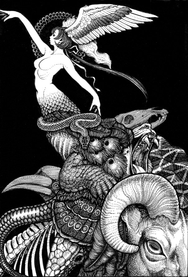 1girl animal_skull arm_up armadillo bird bird_wings black_background bone breasts chimera closed_mouth fiery_hair fire floating_hair from_side greyscale head_wings hi_no_tori hi_no_tori_(kemono_friends) horizontal_pupils kemono_friends kouson_q lips long_hair low_ponytail medium_breasts monochrome navel no_nipples nude outstretched_arms ponytail simple_background snake stomach turtle_shell very_long_hair wings