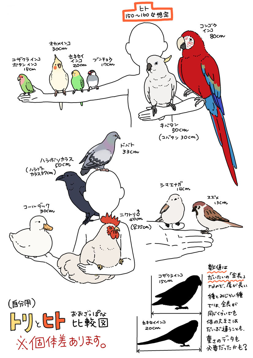 1other animal animal_on_arm animal_on_hand animal_request bird bird_request budgerigar_(bird) chicken commentary_request crow duck java_sparrow long-tailed_tit mattaku_mousuke multiple_views original parakeet parrot pigeon silhouette simple_background tit_(bird) translation_request white_background