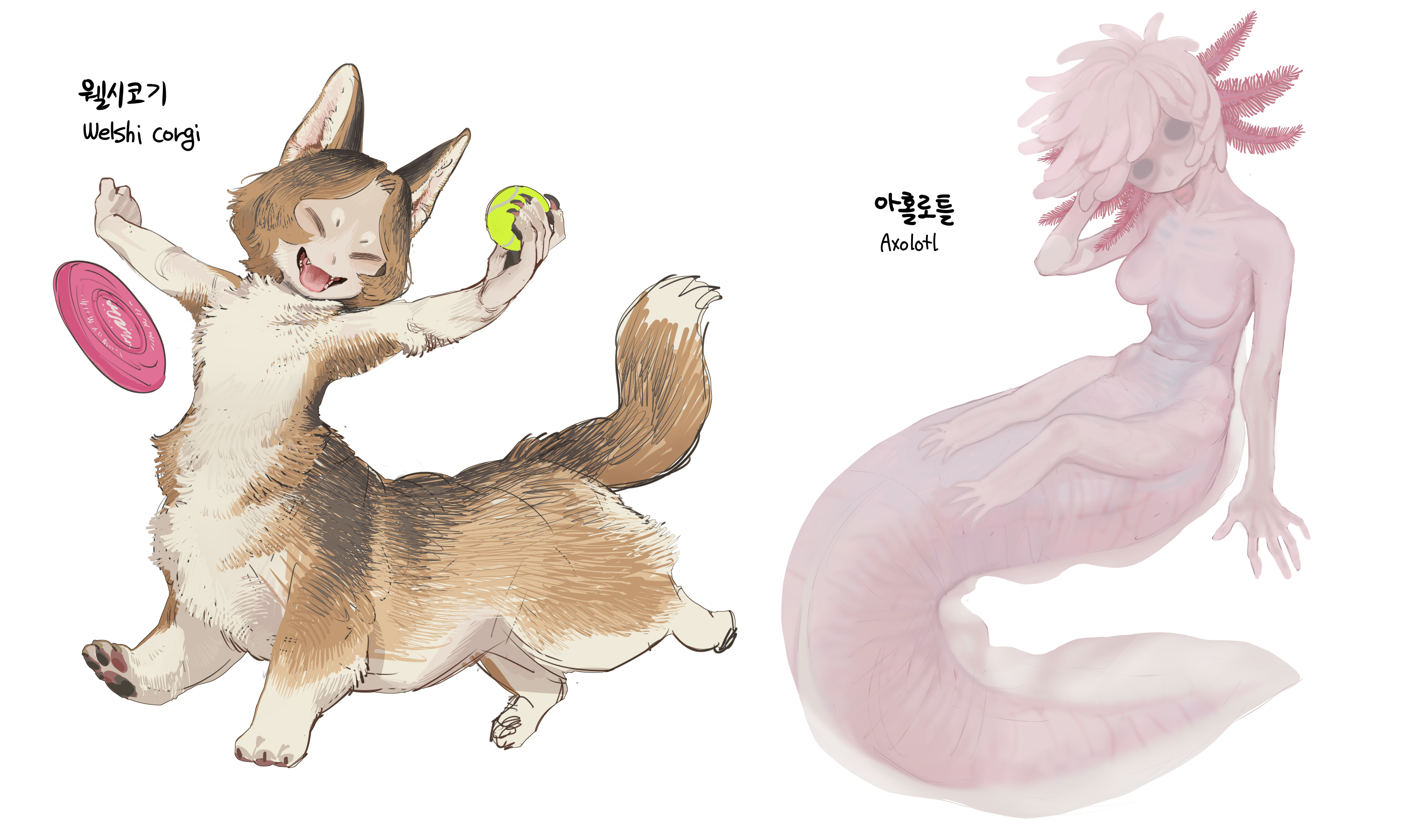 2girls animal_ears axolotl_ears axolotl_girl axolotl_tail ball body_fur brown_fur brown_hair centauroid claws closed_eyes colored_skin dog_ears dog_girl fangs fins frisbee full_body head_fins highres holding holding_ball looking_at_viewer monster_girl multiple_girls original personification pink_hair pink_skin running short_hair simple_background sparrowl taur tennis_ball tongue tongue_out white_background