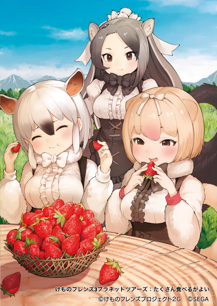 3girls animal_ears anteater_ears anteater_tail black_bow black_bowtie black_corset black_hair blonde_hair blush bow bowtie brown_eyes center_frills corset eating food frills fruit fur_collar giant_anteater_(kemono_friends) grey_hair hair_between_eyes kemono_friends kemono_friends_3 kemono_friends_3:_planet_tours koruse long_hair long_sleeves multicolored_hair multiple_girls official_art outdoors puffy_sleeves shirt silky_anteater_(kemono_friends) smile southern_tamandua_(kemono_friends) strawberry translated two-tone_hair white_bow white_bowtie white_fur white_hair white_shirt