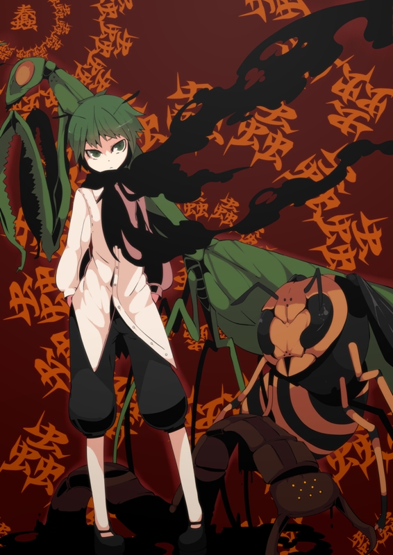 1girl androgynous antennae bad_id bad_pixiv_id bug cape centipede dress_shirt female_focus full_body fuurin_(omaemona) wasp pants praying_mantis reverse_trap shirt shoes solo standing touhou wriggle_nightbug