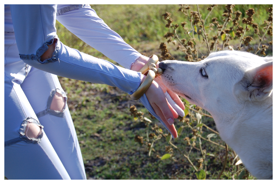 animal_focus cheza cosplay cosplay_photo dog kiba photo_(medium) wolf wolf&#039;s_rain