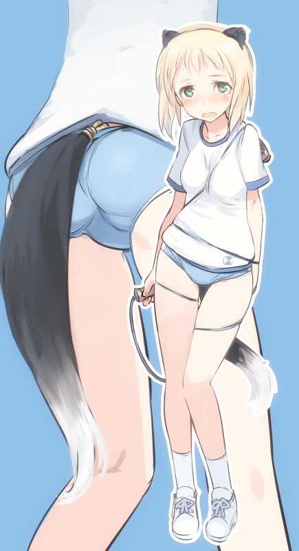 1girl animal_ears ass blonde_hair blue_background blush breasts buruma elma_leivonen female_focus full_body green_eyes gym_uniform looking_at_viewer shimada_fumikane small_breasts solo strike_witches strike_witches:_suomus_misfits_squadron tail white_legwear world_witches_series