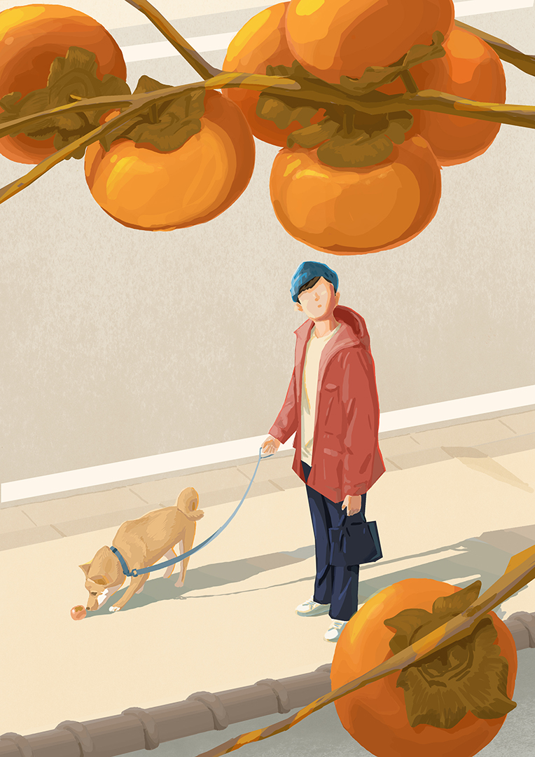 1boy animal bag beanie blue_hat dog faceless faceless_male food fruit fruit_tree hat holding holding_bag holding_leash hood hooded_jacket izumitaki_arata jacket leash male_focus open_clothes open_jacket original pants persimmon persimmon_tree pet_walking red_jacket road shirt shoes sidewalk solo standing street tree white_shirt white_shoes