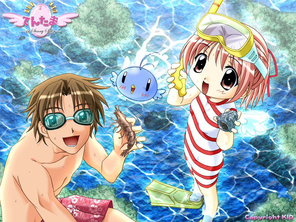 1girl 2000s_(style) 2boys aizawa_takashi animal aoi_(bird)_(tentama) aqua-tinted_eyewear aqua_bird aqua_wings archived_source bare_arms bare_pectorals bare_shoulders beach black-framed_eyewear black_eyes breasts company_name conch copyright_name day detached_wings egg flippers floral_print from_above goggles hair_ribbon hibiscus_print holding holding_animal holding_shell horizontal-striped_swimwear karin_(tentama) koshimizu_takayuki logo looking_at_viewer lower_teeth_only male_swimwear mini_wings multiple_boys official_alternate_costume official_art official_wallpaper one-piece_swimsuit open_mouth outdoors partially_submerged pectorals pink_eyes pink_hair pink_wings red_male_swimwear red_ribbon ribbon second-party_source shell shrimp small_breasts snorkel snorkel_mask solid_oval_eyes standing swimsuit teeth tentama tentama:_1st_sunny_side tinted_eyewear title topless_male wet white_wings wings