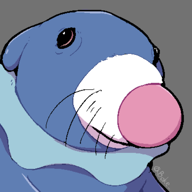 1other animal animal_focus black_eyes blue_fur boke-chan clown_nose floppy_ears gen_7_pokemon grey_background nintendo no_humans perspective pokemon pokemon_(creature) popplio sea_lion simple_background snout twitter_username whiskers
