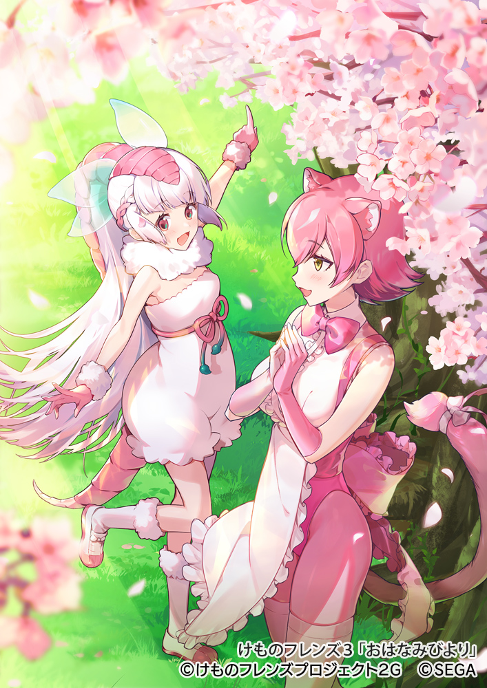 2girls animal_ears apron armadillo_ears armadillo_shell armadillo_tail back_bow blush bow bowtie center_frills commentary_request dress extra_ears frills fur_collar fur_trim hasumikaoru kemono_friends kemono_friends_3 leotard long_hair multicolored_hair multiple_girls official_art panther_ears panther_girl panther_tail pantyhose peach_panther_(kemono_friends) pink_bow pink_fairy_armadillo_(kemono_friends) pink_hair pink_legwear pink_leotard pink_neckwear shoes short_hair sneakers socks tail tail_bow tail_ornament traditional_bowtie two-tone_hair white_apron white_dress white_hair white_legwear yellow_eyes