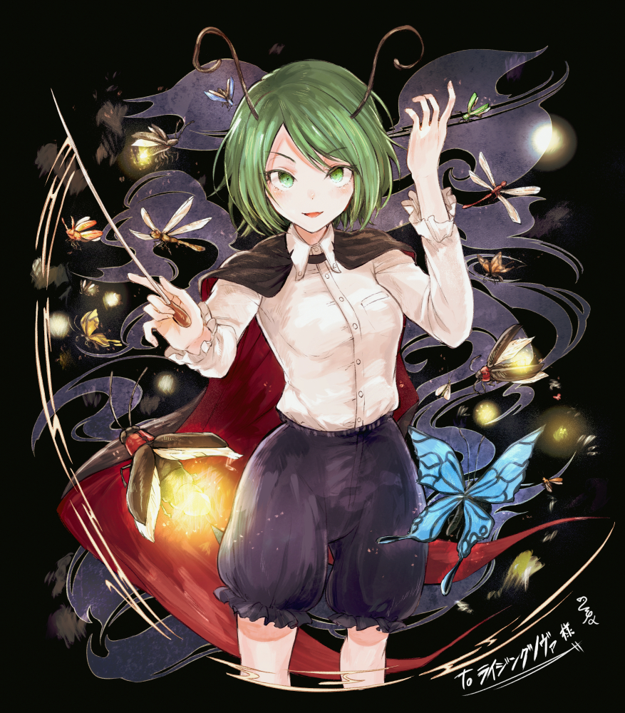 1girl antennae conductor_baton black_background black_shorts blouse bug butterfly cape collared_shirt dragonfly fireflies firefly green_eyes green_hair hand_up hisona_(suaritesumi) insect long_sleeves looking_at_viewer open_mouth shirt short_hair shorts solo swept_bangs touhou two-sided_cape two-sided_fabric white_shirt wriggle_nightbug