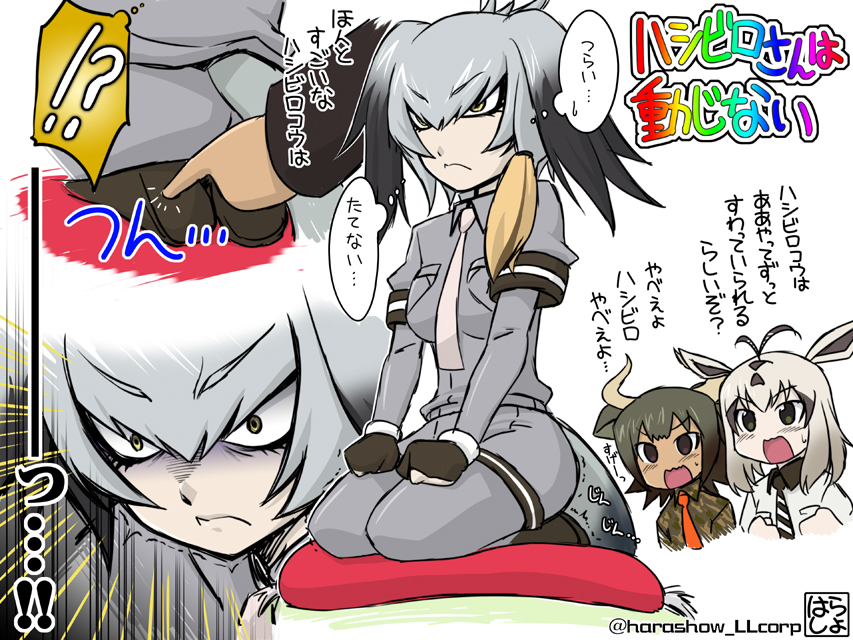 10s 3girls animal_ears antenna_hair antlers arabian_oryx_(kemono_friends) aurochs_(kemono_friends) black_gloves black_hair bodystocking cow_ears fingerless_gloves gloves green_eyes grey_shirt harada_shoutarou head_wings horns kemono_friends long_hair low_ponytail multicolored_hair multiple_girls necktie orange_hair pantyhose ponytail seiza shirt shoebill_(kemono_friends) short_sleeves shorts side_ponytail sitting square-end_necktie translation_request trembling wings yellow_eyes