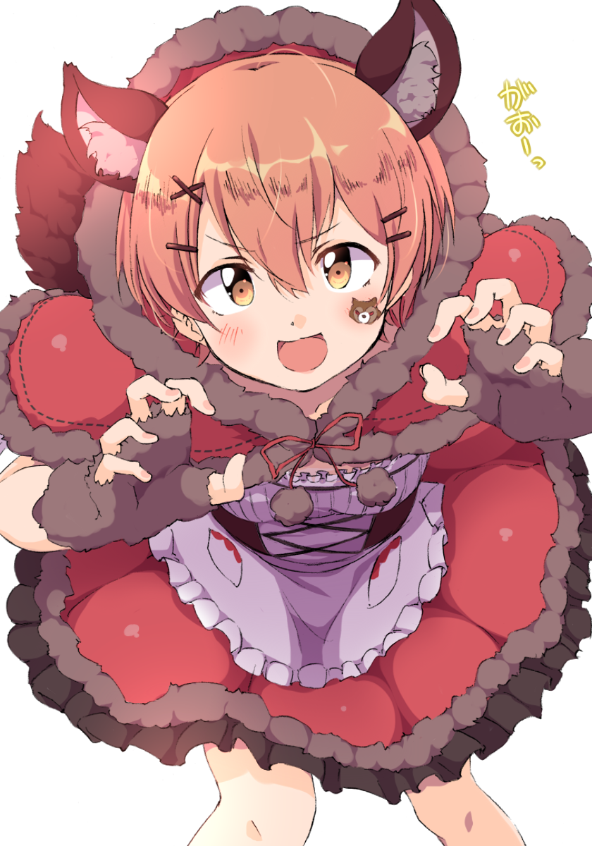 1girl :d alternate_costume animal_ears apron bodice capelet claw_pose facial_mark frilled_apron frills gao hair_ornament hairclip highres hood hoshizora_rin hoshizora_rin_(i&#039;m_a_scaaary_werewolf!_rahhh!) little_red_riding_hood looking_at_viewer love_live! love_live!_school_idol_festival_all_stars love_live!_school_idol_project official_alternate_costume open_mouth orange_hair red_capelet sen_(sen0910) short_hair smile solo tail v-shaped_eyebrows waist_apron white_apron wolf_ears wolf_tail x_hair_ornament yellow_eyes