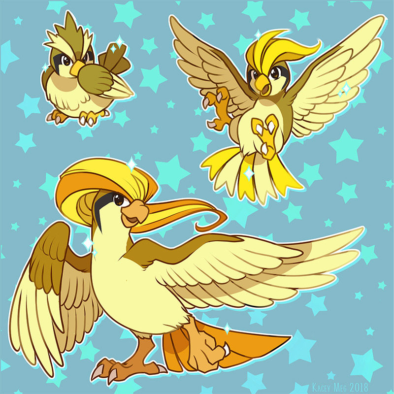 alternate_color animal_focus artist_name bird brown_eyes claws commentary dated english_commentary evolutionary_line full_body gen_1_pokemon kaceymeg nintendo no_humans pidgeot pidgeotto pidgey pokemon pokemon_(creature) shiny_pokemon smile standing star_(symbol) wings