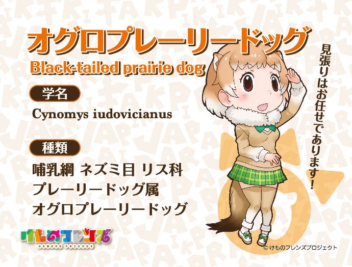 1girl animal_ears black-tailed_prairie_dog_(kemono_friends) extra_ears kemono_friends looking_at_viewer official_art simple_background solo tail yoshizaki_mine
