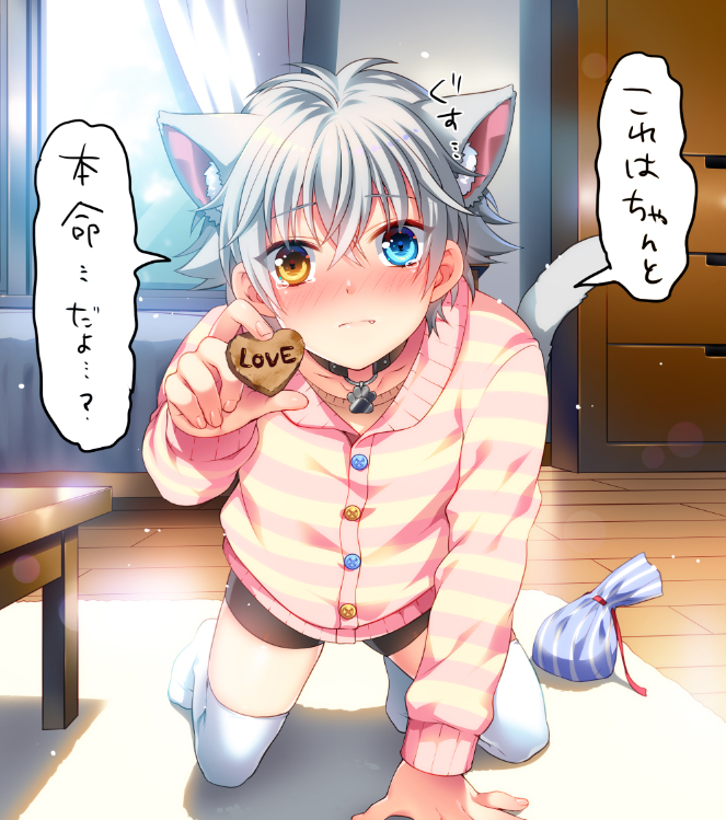 1boy animal_ears cat_boy cat_ears commentary_request ginjiro_(ginziro525) ginjiro_(vtuber) grey_hair hair_between_eyes indie_virtual_youtuber looking_at_viewer male_focus short_hair shorts solo thighhighs virtual_youtuber white_day white_thighhighs wooden_floor