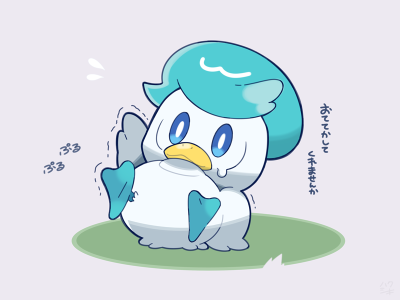 animal_focus blue_eyes bright_pupils closed_mouth commentary_request flying_sweatdrops full_body grey_background kashiri_kurosuke lying nintendo no_humans on_back pokemon pokemon_(creature) pokemon_focus quaxly smile solo sweatdrop translation_request trembling white_pupils