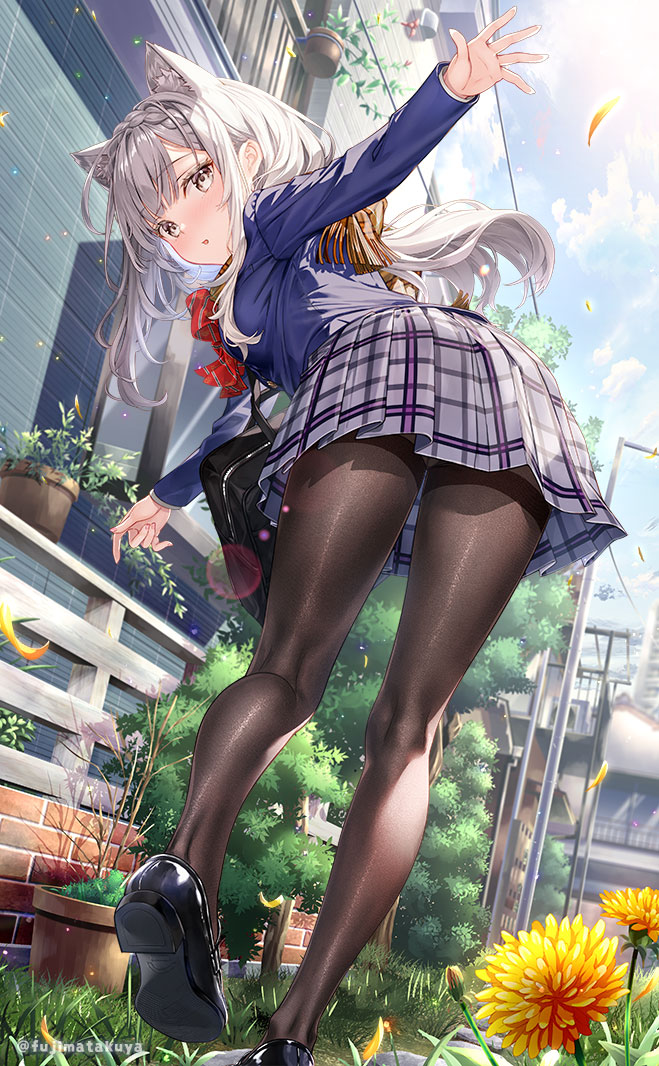 1girl :o animal_ear_fluff animal_ears black_shoes blue_jacket blue_sky bow braid brown_pantyhose brown_scarf building cloud commentary_request day diagonal-striped_bow flower flower_pot fringe_trim from_behind fujima_takuya grey_eyes grey_hair grey_skirt jacket kneepits long_hair long_sleeves looking_at_viewer looking_back original outdoors pantyhose parted_lips petals plaid_clothes plaid_skirt pleated_skirt power_lines red_bow scarf school_uniform shoe_soles shoes skirt sky solo thighband_pantyhose twitter_username very_long_hair yellow_flower