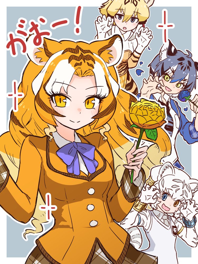 4girls animal_ears animal_print blazer blonde_hair blue_background blue_eyes blue_flower blue_rose bow bowtie byakko_(kemono_friends) da_(bobafett) extra_ears flower golden_tabby_tiger_(kemono_friends) grey_hair heterochromia holding holding_flower holding_rose jacket kemono_friends long_hair looking_at_viewer maltese_tiger_(kemono_friends) multiple_girls rose shirt short_hair simple_background skirt smilodon_(kemono_friends) tiger_ears tiger_girl tiger_print translation_request white_hair yellow_eyes yellow_flower yellow_rose