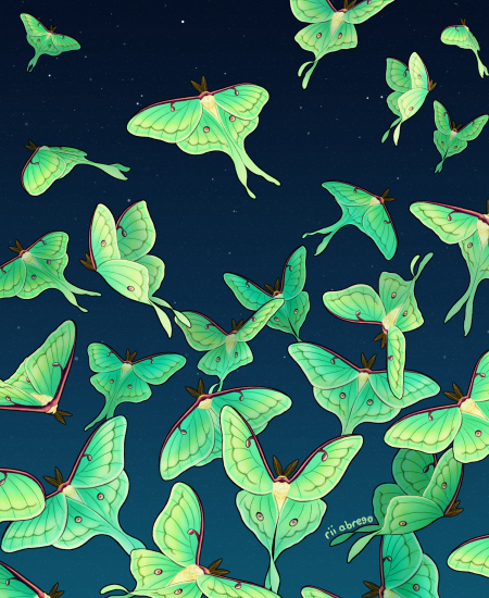 animal animal_focus artist_name blue_sky bug butterfly cropped downscaled flying gradient_sky green_theme green_wings insect luna_moth moth night night_sky no_humans original outdoors paid_reward_available resized rii_abrego signature sky star_(sky) starry_sky too_many too_many_butterflies wings