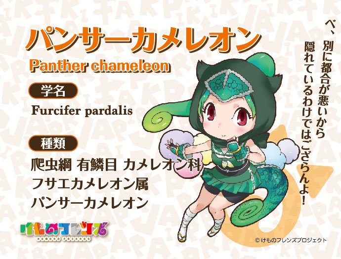 1girl animal_ears extra_ears kemono_friends looking_at_viewer official_art panther_chameleon_(kemono_friends) simple_background solo tail yoshizaki_mine