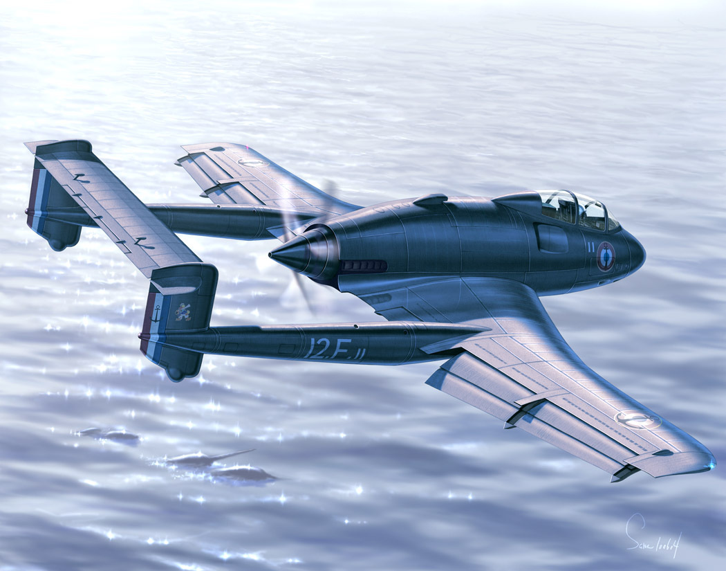 aircraft airplane day helmet military name_connection narwhal no_humans ocean original pilot pilot_suit same_(carcharodon) sky so_8000_narval solo vehicle_focus whale