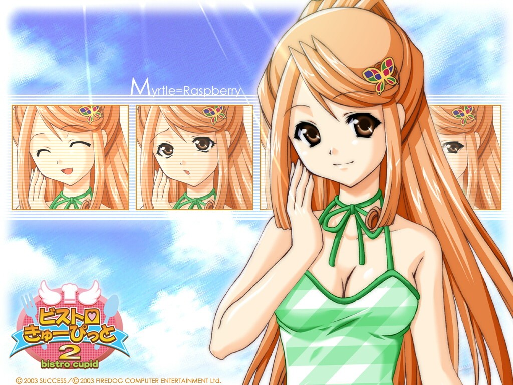 00s 1girl 2003 bistro_cupid bistro_cupid_(series) bistro_cupid_2 brown_eyes character_name copyright_name female_focus green_one-piece_swimsuit hair_ornament hairpin logo long_hair myrtle_raspberry official_art official_wallpaper one-piece_swimsuit orange_hair pandaki_(aki) sidelocks smile solo swimsuit