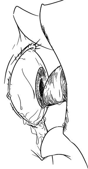 close-up forced licking licking_eye monochrome rafu_kichi saliva tagme