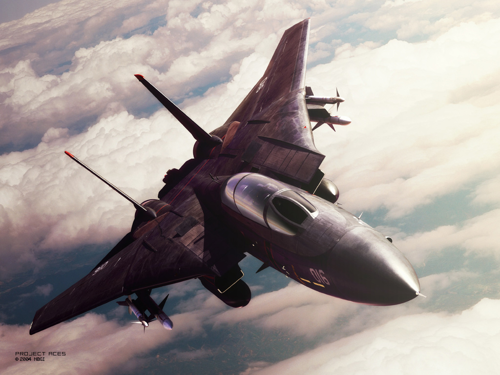 ace_combat ace_combat_5 aircraft airplane blaze_(character) demon_of_razgriz drop_tank f-14 missile razgriz