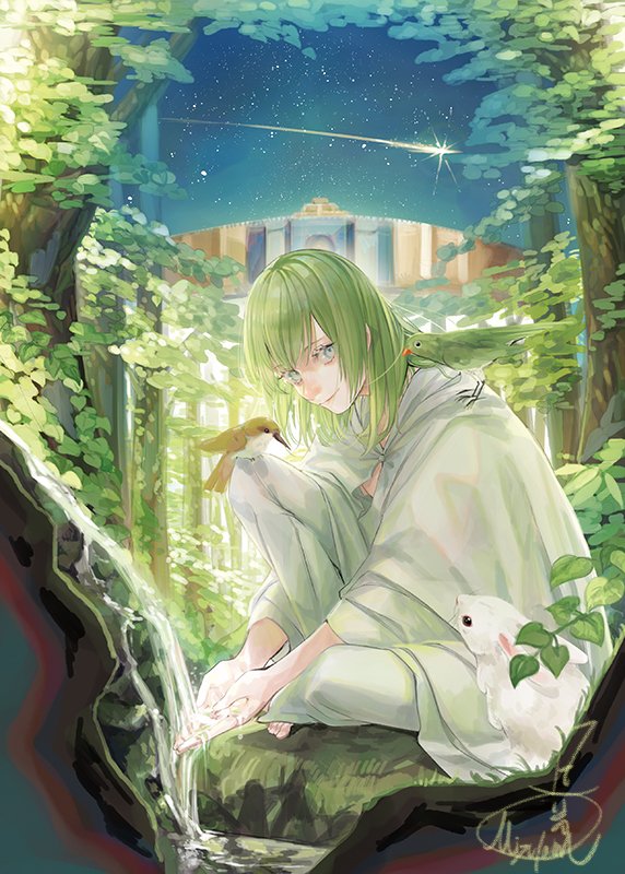 1other ambiguous_gender androgynous animal animal_on_shoulder bird bird_on_lap bird_on_shoulder closed_mouth commentary_request enkidu_(fate) fate/extra fate/extra_ccc fate/grand_order fate/strange_fake fate/zero fate_(series) forest full_body green_eyes green_hair green_theme light_green_hair long_hair long_sleeves looking_at_viewer mizutame_tori nature night on_ground outdoors pants rabbit robe shooting_star signature sitting sky smile solo star_(sky) toga tree very_long_hair water white_pants white_robe