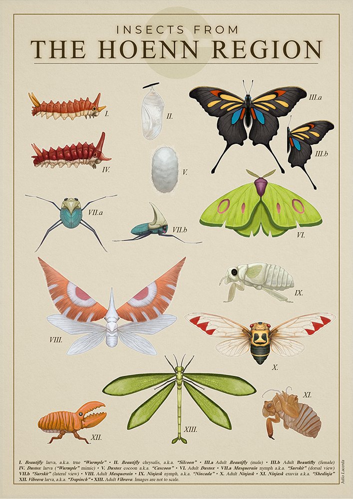 animal_focus beautifly border bug butterfly cascoon cocoon commentary dustox english_text gen_3_pokemon information_sheet insect julio_lacerda label larva masquerain nincada ninjask nintendo no_humans poke_ball_symbol pokemon realistic shedinja silcoon surskit trapinch vibrava wurmple