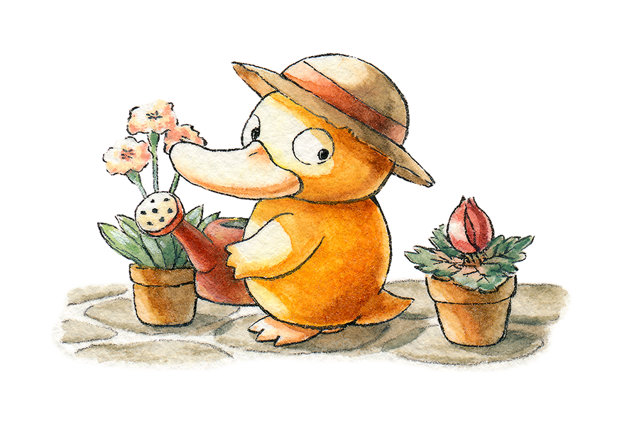 black_eyes brown_hat commentary english_commentary flower flower_pot gen_1_pokemon hat holding holding_watering_can looking_back nintendo no_humans oliver_hamlin painting_(medium) pink_flower plant pokemon pokemon_(creature) potted_plant psyduck red_flower sideways_glance simple_background solo standing stone_floor straw_hat traditional_media watercolor_(medium) watering_can white_background