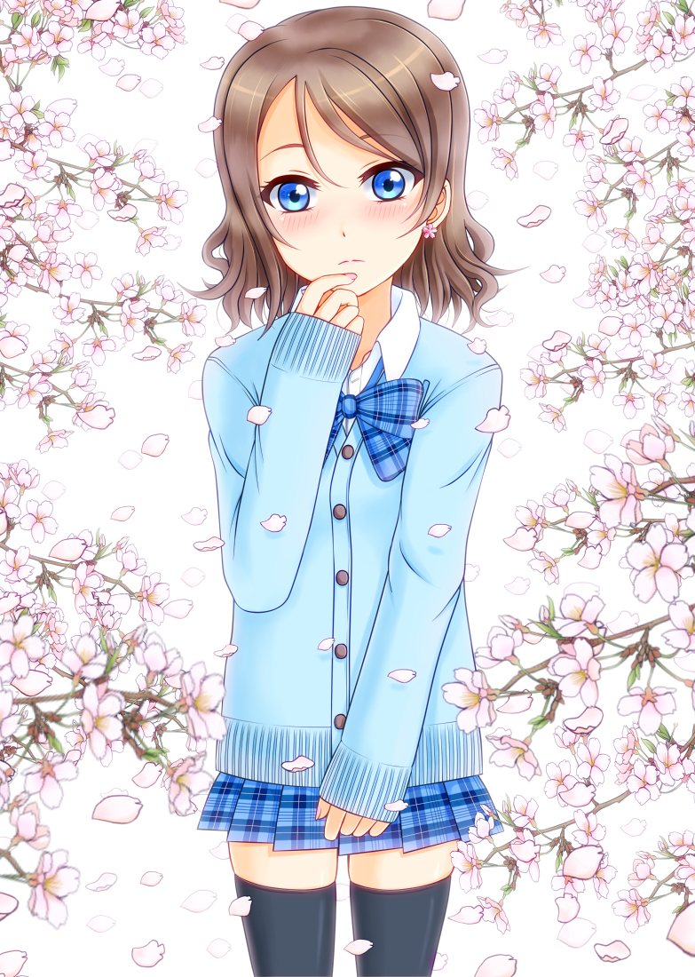 10s blue_eyes blush grey_hair jacket love_live!_sunshine!! sakura short_hair shy watanabe_you