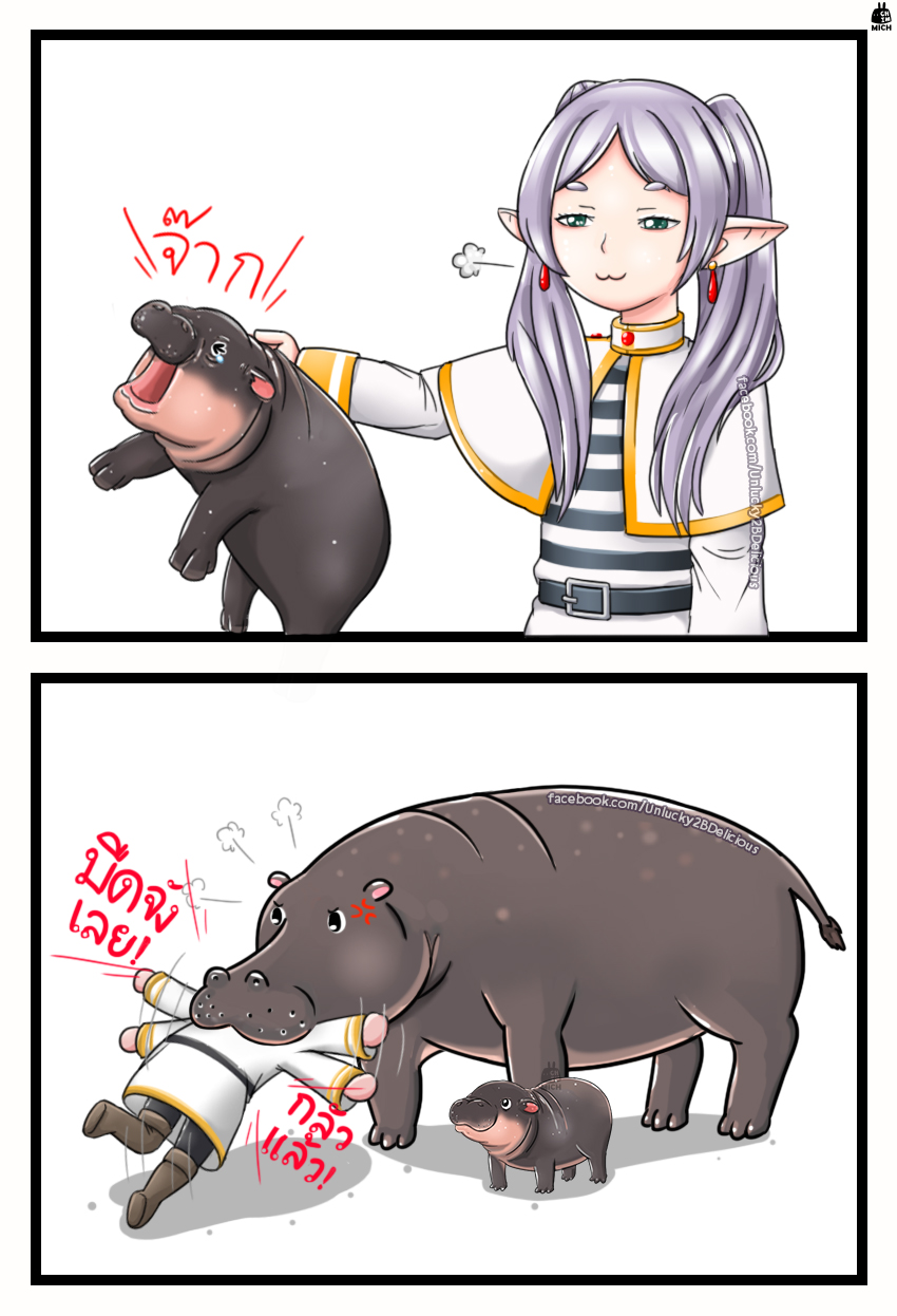 1girl :3 anger_vein animal belt black_belt black_pantyhose blush boots brown_footwear capelet commentary english_commentary flailing frieren green_eyes grey_hair highres hippopotamus holding holding_animal jacket jonah_(pygmy_hippo) knee_boots moo_deng mr.chimpree open_mouth pantyhose parted_bangs pointy_ears real_life smile smug sousou_no_frieren tearing_up thai_text translation_request twintails v-shaped_eyebrows watermark web_address white_capelet white_jacket