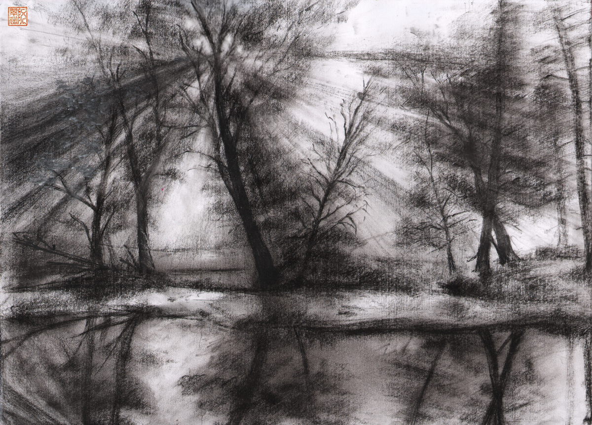 charcoal_(medium) lake monochrome no_humans photo-referenced scenery traditional_media tree water yuanchosaan