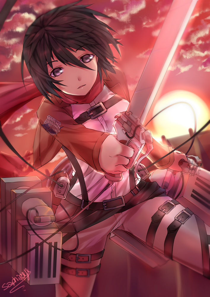 1girl artist_request black_eyes black_hair cloud cropped_jacket dutch_angle female_focus mikasa_ackerman raised_eyebrows red_scarf saphirya scarf shingeki_no_kyojin solo sunset thigh_strap three-dimensional_maneuver_gear