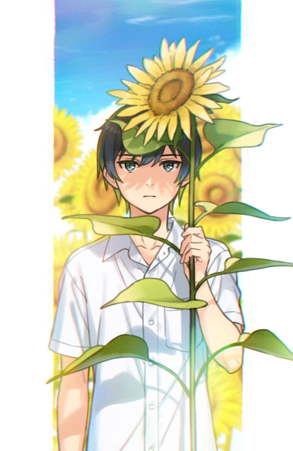 1boy aqua_eyes blue_hair breast_pocket closed_mouth collared_shirt dark_blue_hair field flower flower_field ito_fumi looking_at_viewer male_focus natsu_e_no_tunnel_sayonara_no_deguchi pillarboxed pocket shadow shirt short_hair short_sleeves solo sunflower sunflower_field touno_kaoru upper_body white_shirt