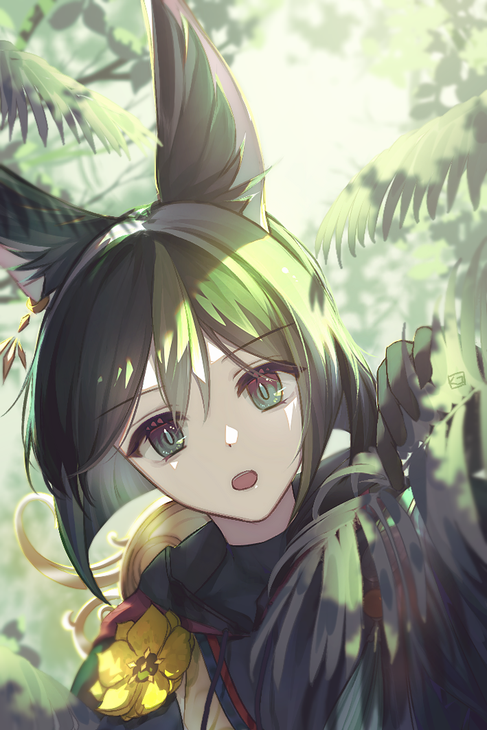 1boy :o animal_ear_fluff animal_ears black_gloves black_hair brown_eyes commentary_request drawstring earrings flower forest fox_boy fox_ears genshin_impact gloves gradient_eyes green_eyes green_hair hair_between_eyes hand_up hood hood_down hoodie jewelry kuko_(geeeee_ss) leaf looking_at_viewer male_focus multicolored_clothes multicolored_eyes multicolored_hair nature open_mouth outdoors short_hair sidelocks single_earring solo teeth tighnari_(genshin_impact) tree two-tone_hair upper_body upper_teeth_only yellow_flower