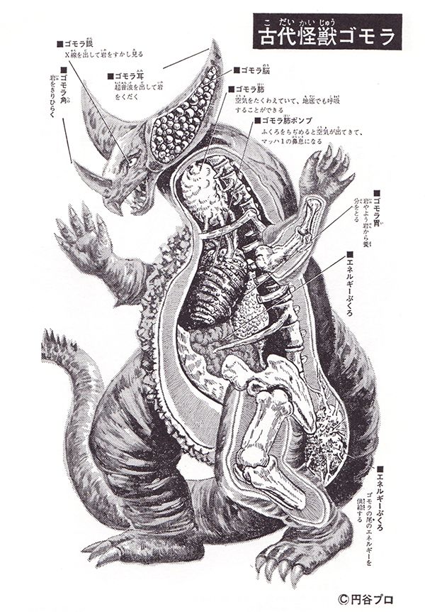 anatomy artist_request biology bone chart cross-section diagram dinosaur gomora heart japanese_text kaiju monster official_art organs science science_fiction skeleton spikes translation_request tsuburaya_productions ultra_series ultraman_(1st_series) x-ray