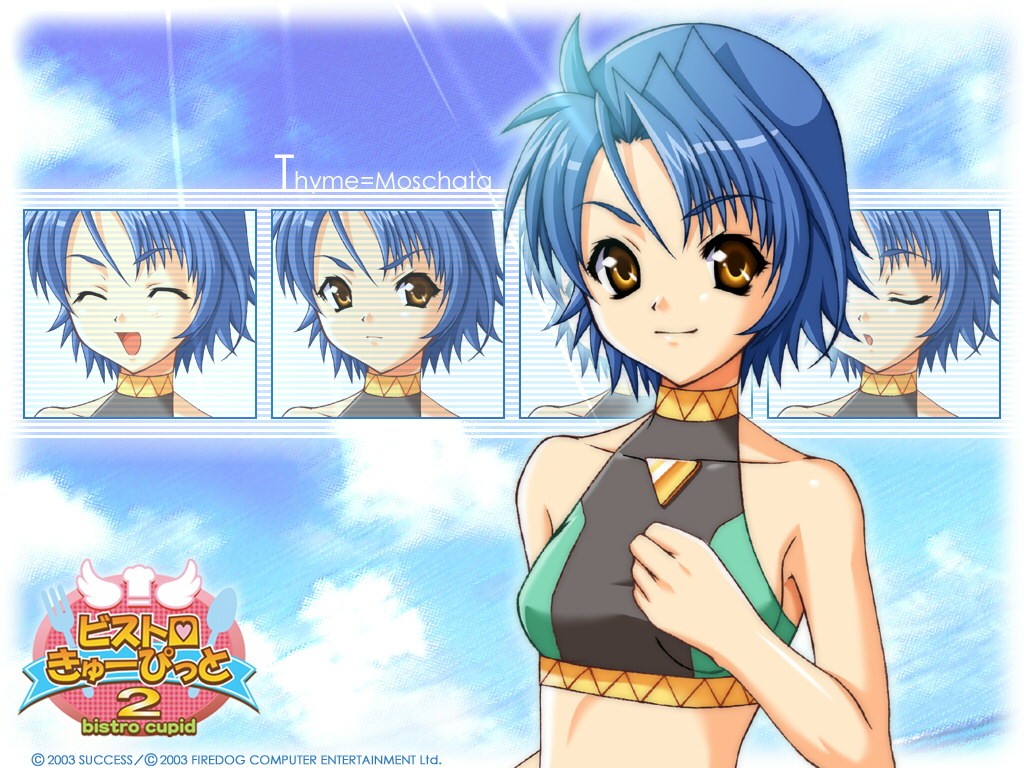 00s 1girl 2003 ahoge bistro_cupid bistro_cupid_(series) bistro_cupid_2 blue_hair brown_eyes character_name copyright_name female_focus halterneck logo official_art official_wallpaper pandaki_(aki) short_hair smile solo thyme_moschata