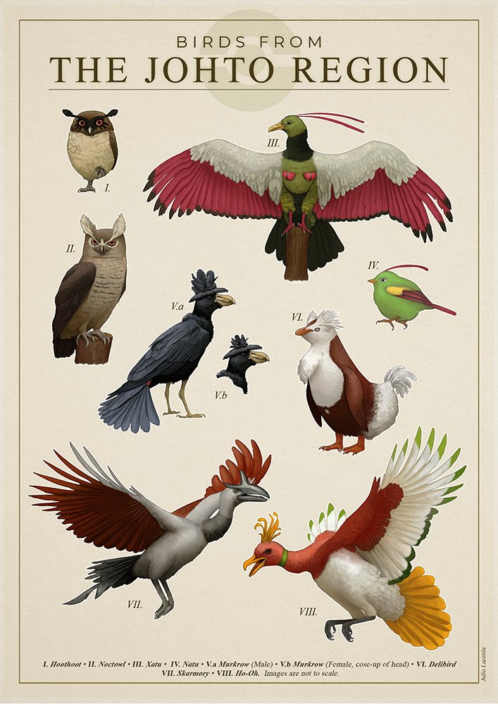 animal_focus bird border character_name closed_mouth commentary delibird english_text gen_2_pokemon ho-oh hoothoot julio_lacerda label legendary_pokemon murkrow natu nintendo no_humans noctowl pokemon pokemon_(creature) realistic skarmory standing xatu