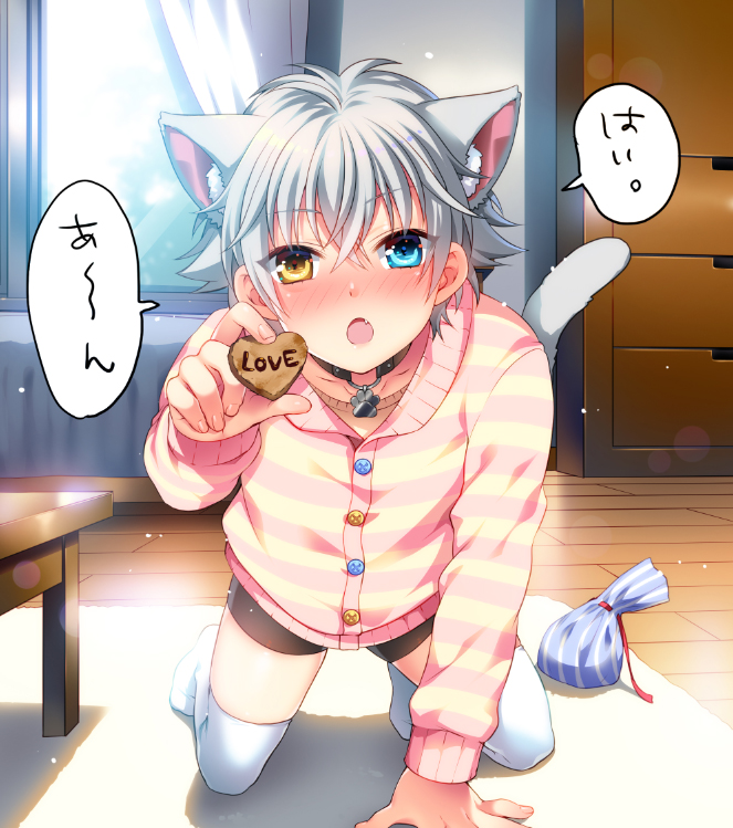 1boy animal_ears cat_ears character_request commentary_request day ginjiro_(ginziro525) ginjiro_(vtuber) grey_hair hair_between_eyes indie_virtual_youtuber indoors looking_at_viewer male_focus short_hair shorts solo speech_bubble sunlight thighhighs translation_request virtual_youtuber white_day white_thighhighs wooden_floor