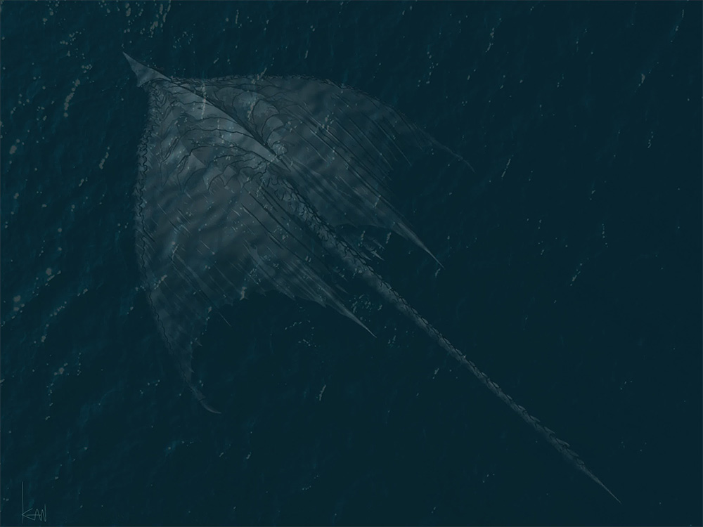 beak concept_art day engi_(animation_studio) fins from_above full_body gamera_(series) gamera_-rebirth- giant giant_monster kadokawa kaiju manta_ray monster no_humans ocean official_art promotional_art sea_monster signature skate_(fish) stinger stingray submerged tail takahama_kan waves wings zigra