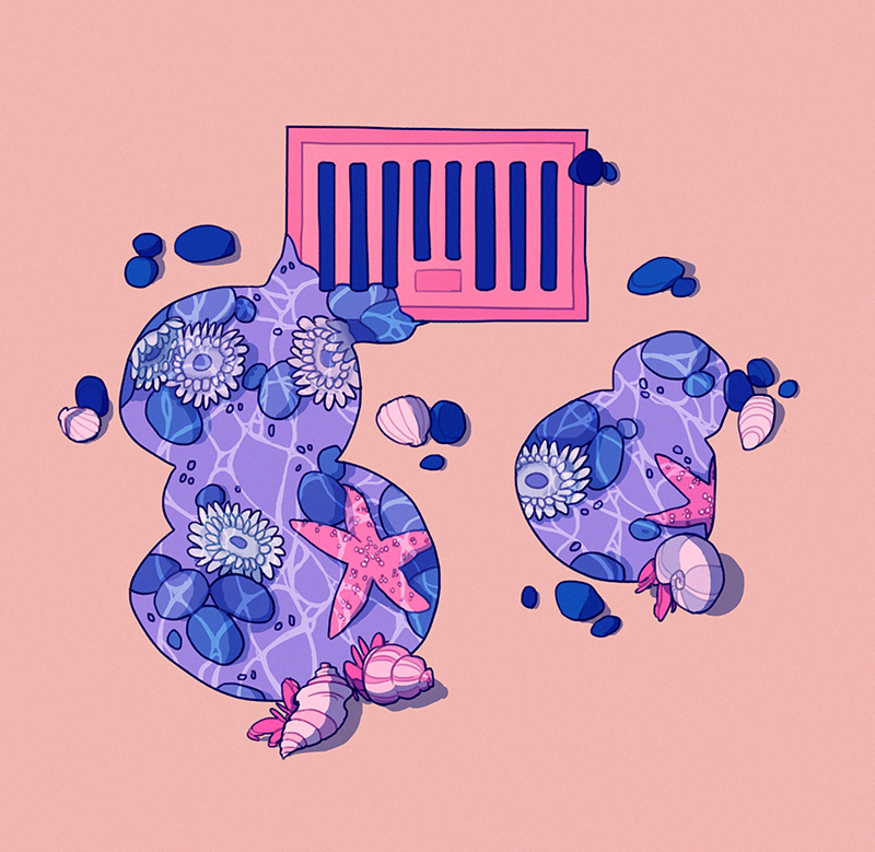 animal caustics commentary crab crustacean english_commentary grate hermit_crab limited_palette mellific no_humans ocean orange_background original pastel_colors rock scallop sea_anemone seashell shell simple_background snail_shell starfish storm_drain surreal underwater water