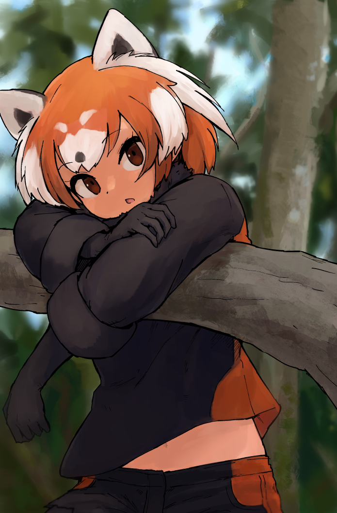 1girl black_gloves brown_eyes commentary_request day extra_ears forest fur_collar gloves hanging_on_tree kemono_friends long_sleeves looking_at_viewer midriff_peek multicolored_hair nature open_mouth orange_hair outdoors panda_girl red_panda_(kemono_friends) red_panda_ears rumenia_(ao2is) short_hair solo tree two-tone_hair white_hair