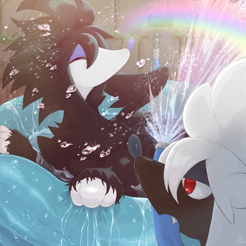 ^_^ alternate_color animal_focus black_hair closed_eyes dog fang faucet furfrou furfrou_(natural) gen_6_pokemon hose innertube long_hair mouth_hold nintendo no_humans open_mouth partially_submerged pokemon pokemon_(creature) profile rainbow s_(esumi_kihomaru) shiny_pokemon sidelocks splashing swim_ring water white_hair