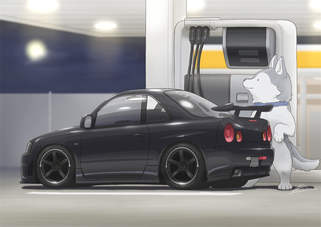 akion_(chibaibaraki) animal black_car black_eyes blue_collar cable car collar dog gas_station glowing husky looking_up motor_vehicle night nissan nissan_skyline nissan_skyline_gt-r nissan_skyline_r34 no_humans original smile spoiler_(automobile) sports_car vehicle_focus