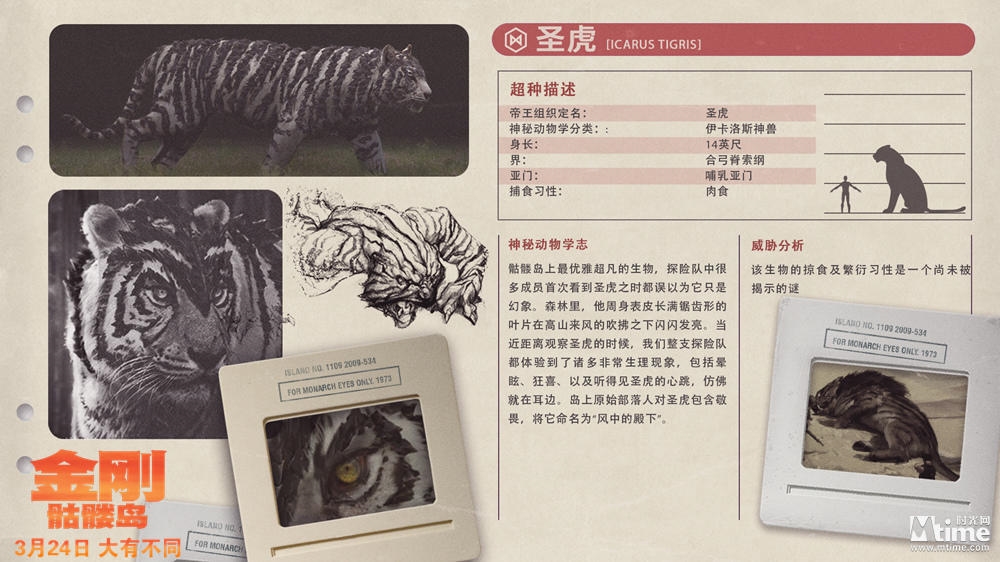 animal artist_request character_profile chinese_text concept_art conspiracy cut_content diagram giant giant_monster kaiju king_kong_(series) kong:_skull_island legendary_pictures monarch_(monsterverse) monster monsterverse official_art plant promotional_art report science sketch spirit_tiger tiger translation_request viral_marketing white_tiger